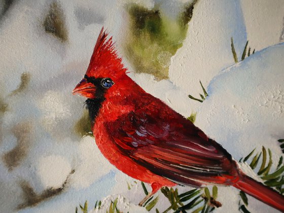 Red Cardinal in Snow