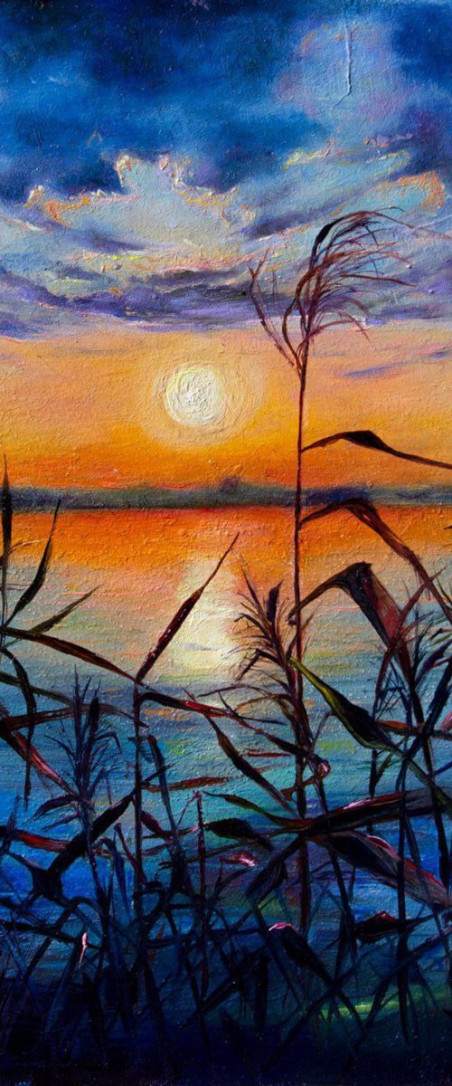 Sunset in the river reeds by Inga Loginova