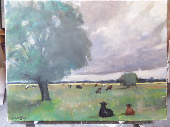 Cow Meadow