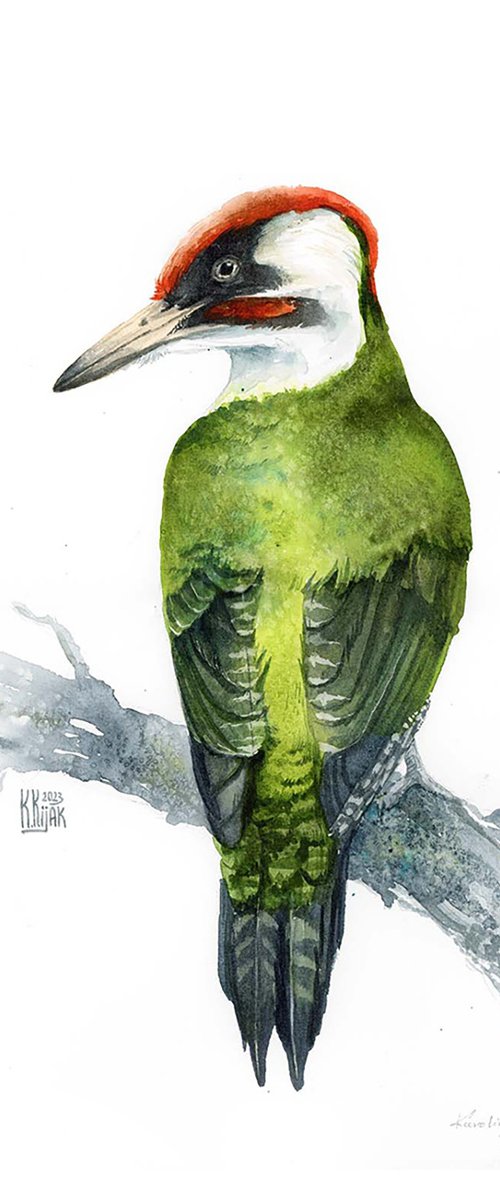 Green Woodpecker by Karolina Kijak