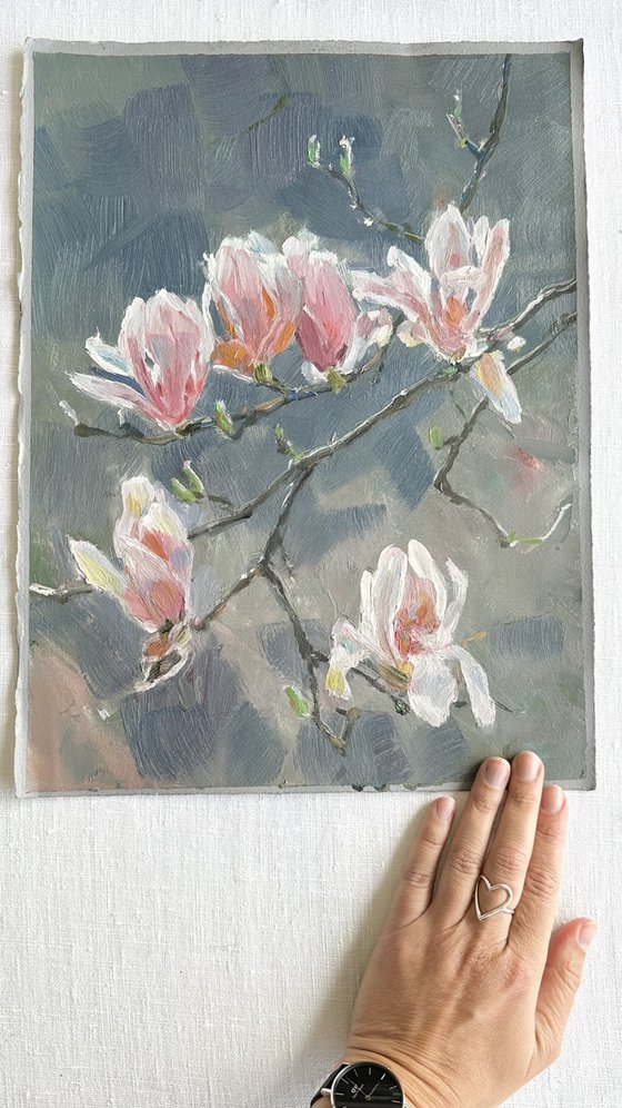 magnolia