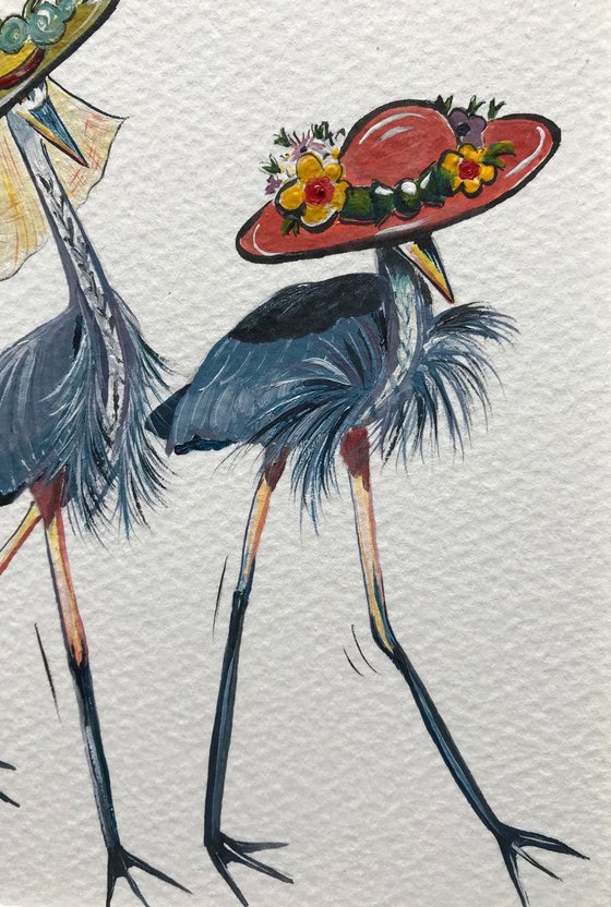 Herons in hats