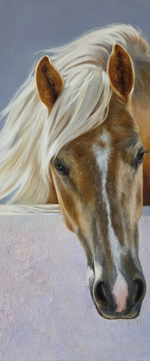 Beautiful stranger. by Anna Bessonova (Kotelnik)