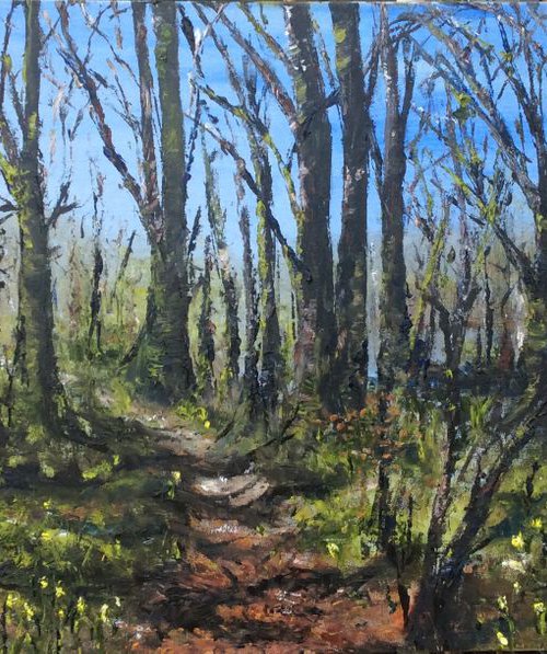Dunsford Woods by Lucy Smerdon