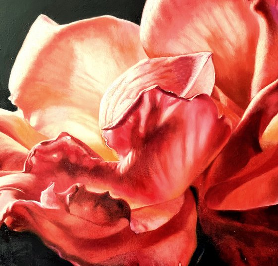 "To the light.  "  rose red flower  liGHt original painting  GIFT (2022)