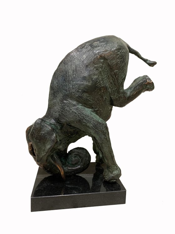 Circus elephant 2