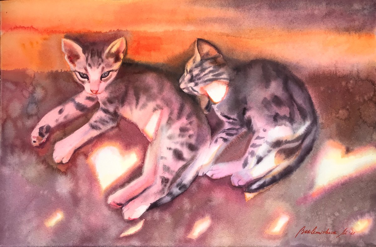 Kittens and sun spots by Maria Beklemisheva