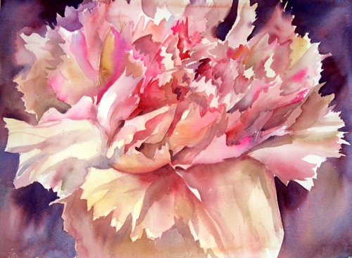 Carnations II by Sri Rao