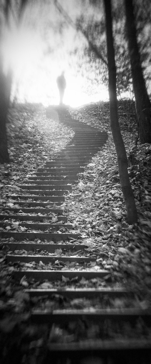 Ascending by Louise O'Gorman