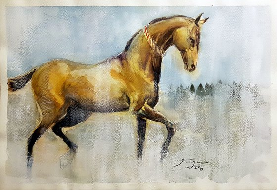 Akhal Teke 5