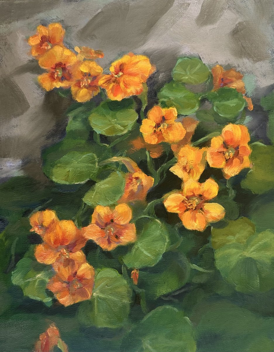 Impressionistic Botanical Oil Painting By Grace Diehl, 8 X 10, Nasturtium Flowers, Original Artwork