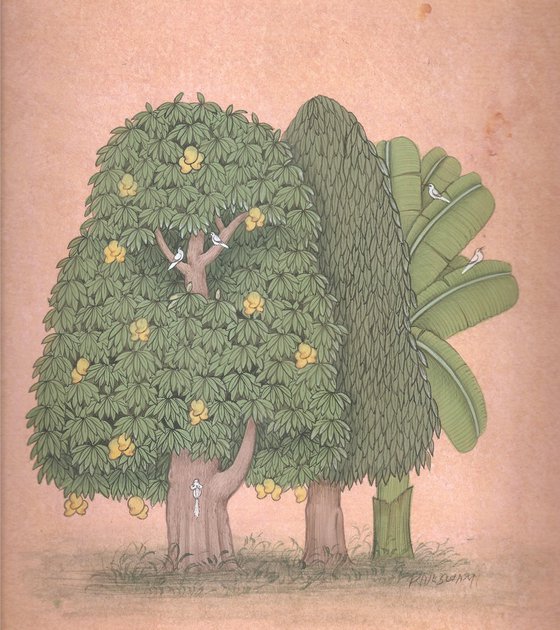Royal Mango, Ashoka & Banyan Trees