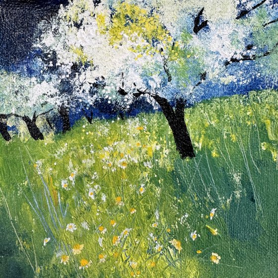 White Cherry Blossom Orchard