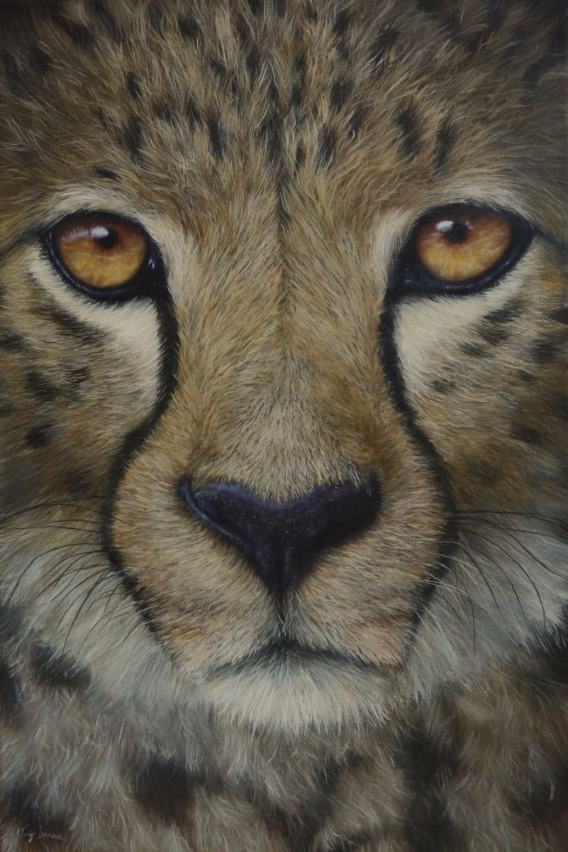 Photorealistic Animal Oil Painting By Tony Berriman, 20 X 30", The Look, Original Artwork