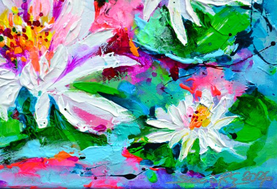 White Water Lilies on the Pond