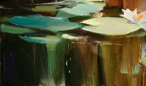 In the Embrace of a Fairy Lake