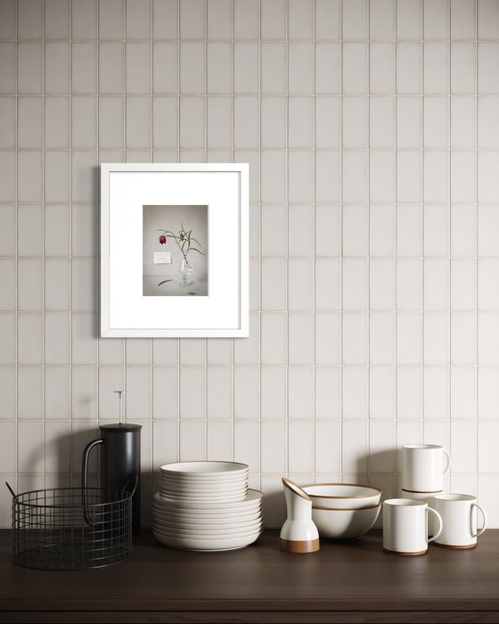 Fritillaria meleagris