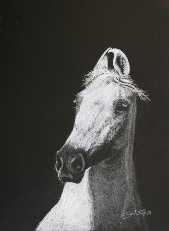 Horse II /  ORIGINAL PAINTING