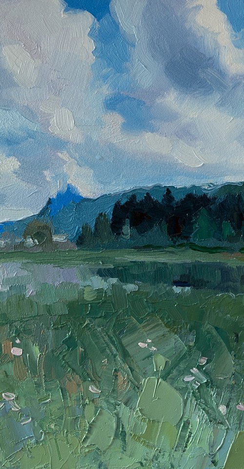 Meadow View by Daria Zavadenko