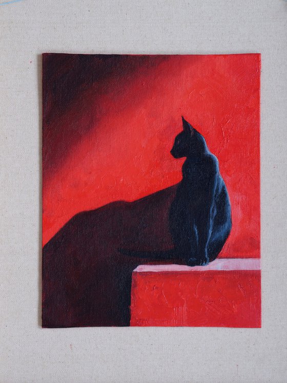 Black Cat on Red