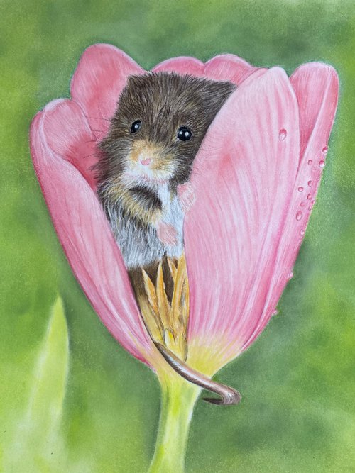 Mouse inTulip by Maxine Taylor