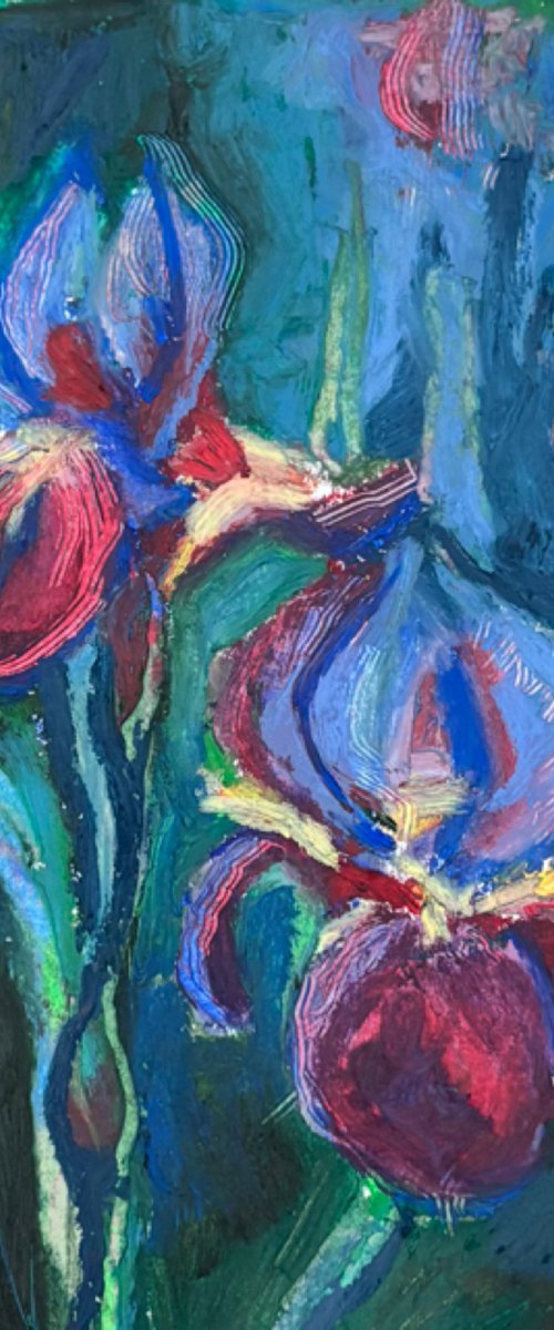 Irises by Harriet Cosgrove