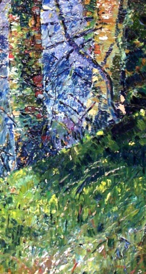 Hillside road through trees by Richard Meyer