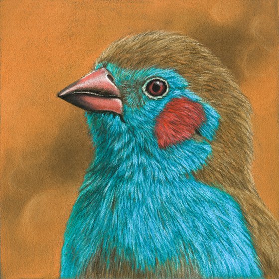 Original diptych pastel drawing birds "Azure portraits"
