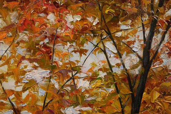 "Light Between the Trees"