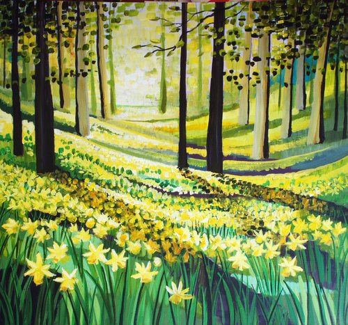 Valley Gardens Daffodils by Julia  Rigby