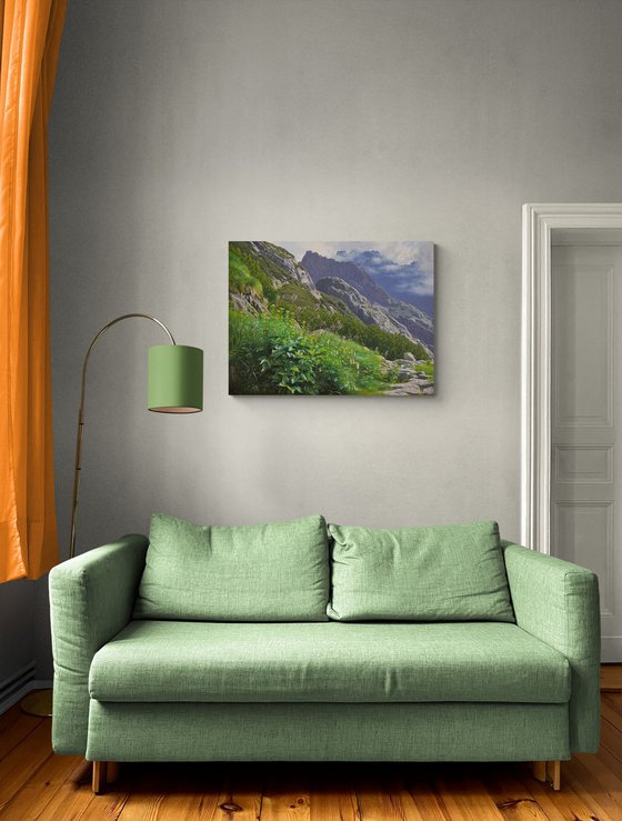 Summer in the mountains