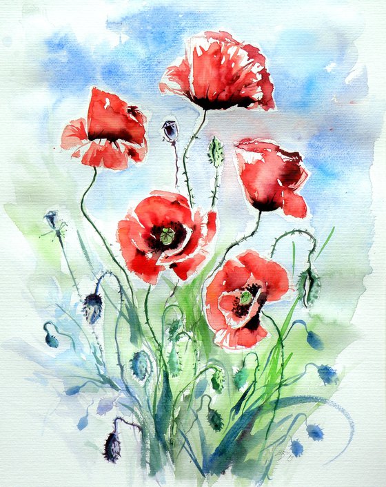 Five poppies