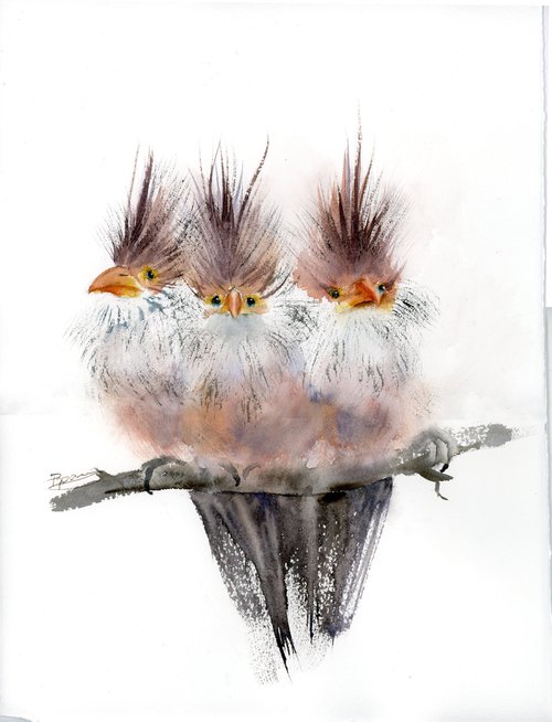 Trio of crested birds by Olga Shefranov (Tchefranov)