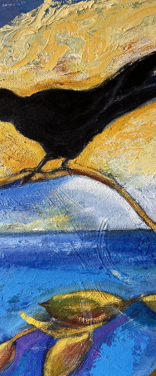 Magic crow by Christine Callum McInally