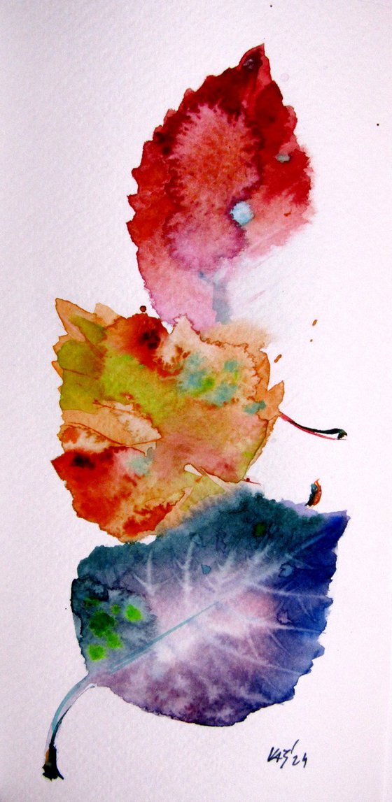 Autumn collection II