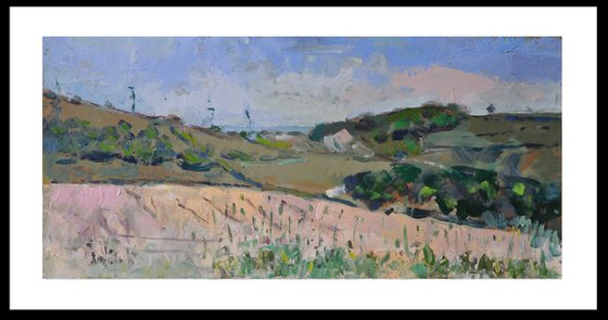 Downs above Sompting