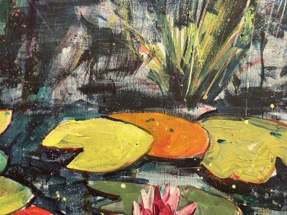 Lily Pond