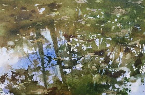 The Pond