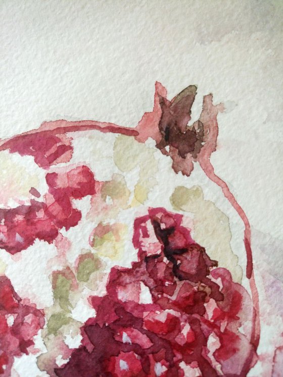 Pomegranate. - Original watercolour painting.