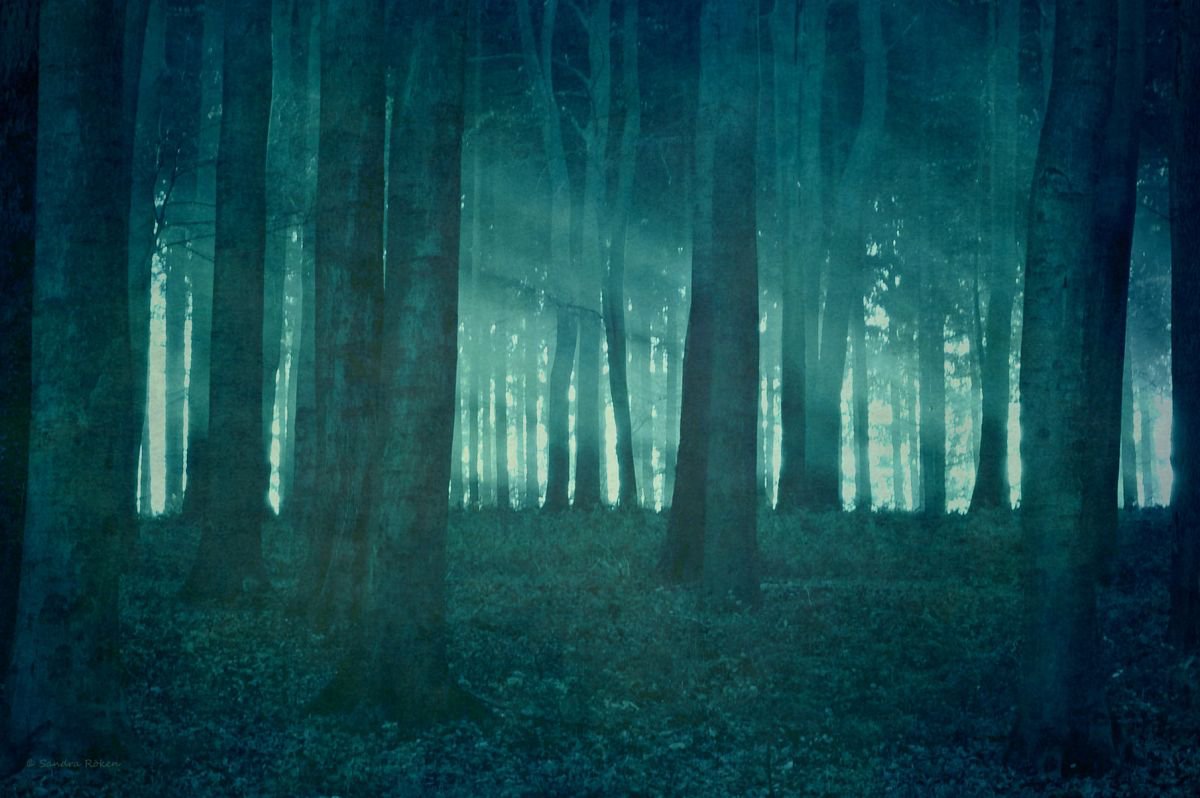 - from Darkness to Light by Sandra Roeken