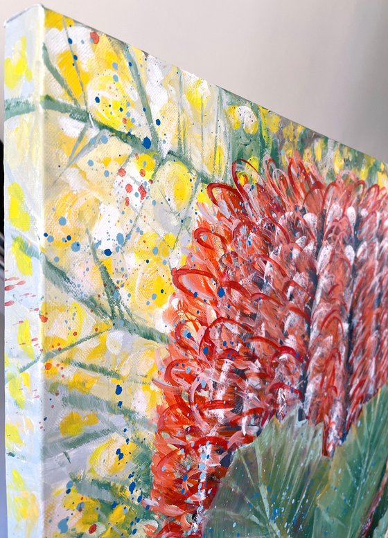 Outshine The Light - Scarlet Banksia and Wattle