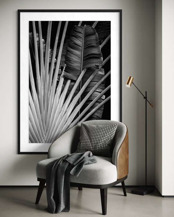 Radiant Frond