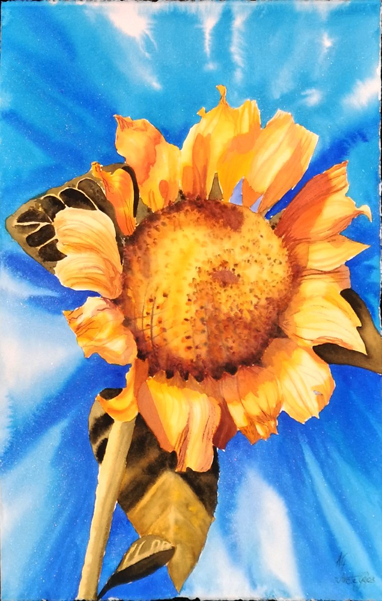 Impressionistic Botanical Watercolour By Aneta Gajos, 15 X 22, Sunflower, Original Artwork