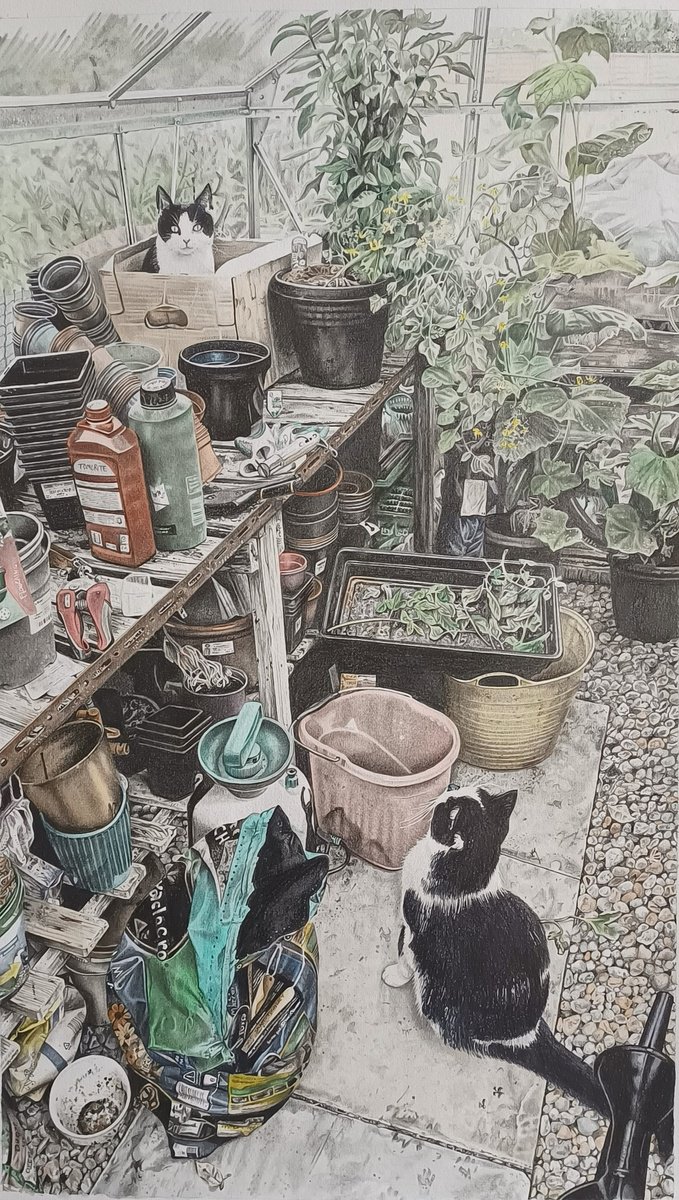 Chillies, Cucumbers, Tomatoes and Cats by Joanne Hill