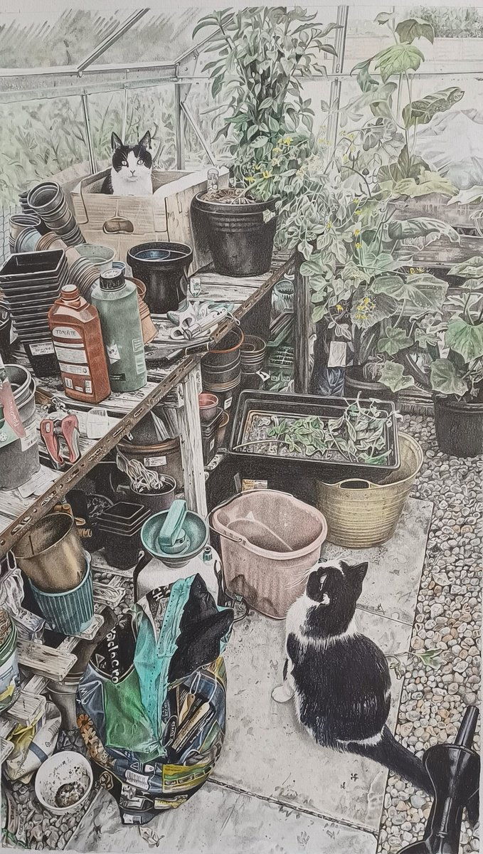 Chillies, Cucumbers, Tomatoes and Cats by Joanne  Hill