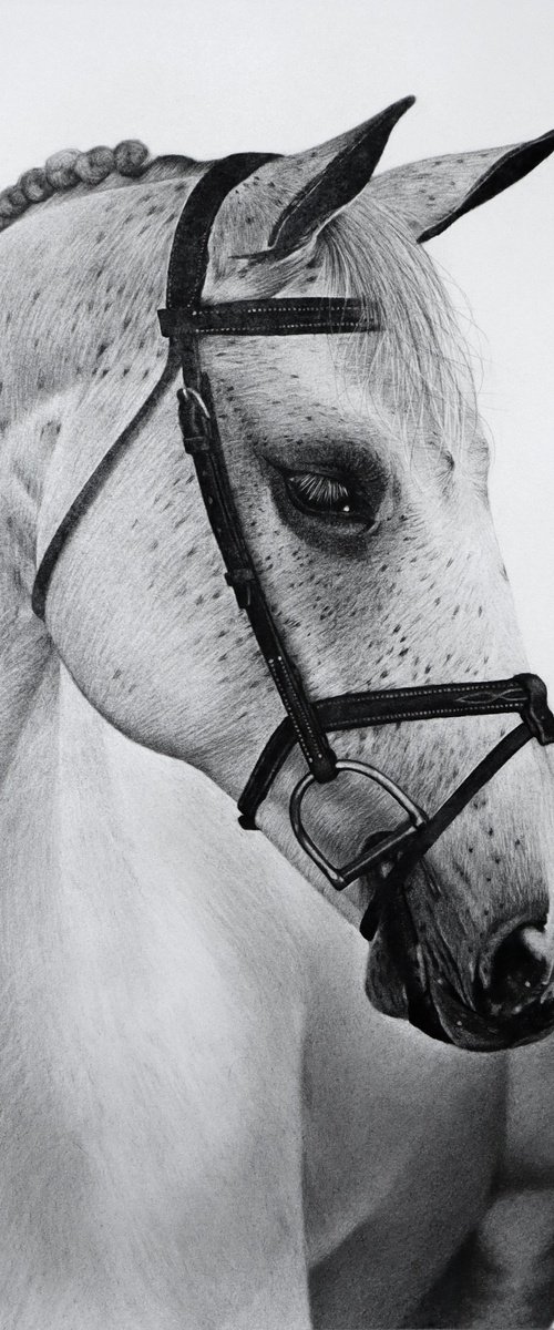 White Horse #5 by Mariam Darchiashvili