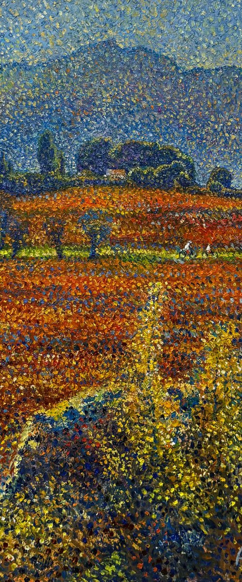Summer in Provence by Andrii Chebotaru
