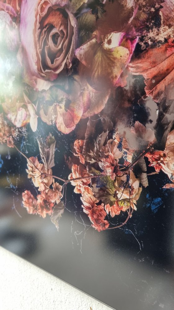 Bouquet xv  [Studio Clearance]