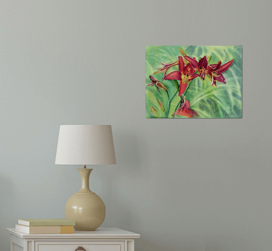 Red daylily in the garden