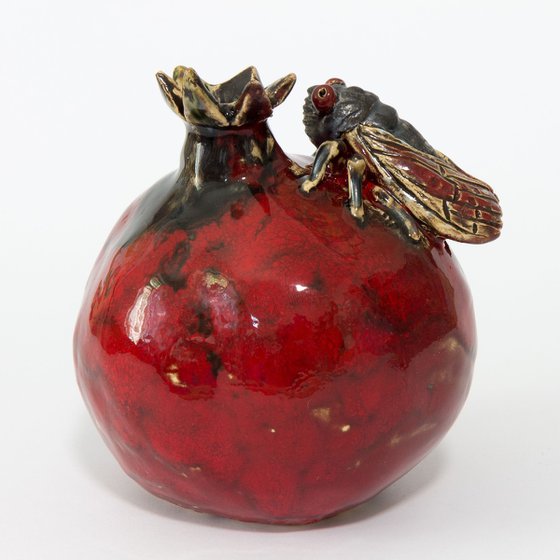 Cicada and pomegranate
